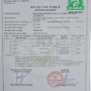test nấm bào ngư logo