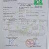test nấm hương logo