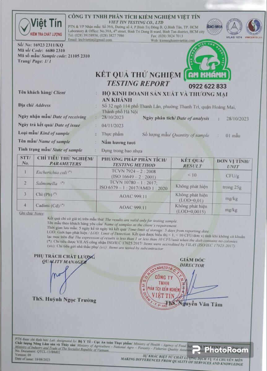 test nấm hương logo